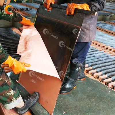 Productielijn voor het terugwinnen van koper met een goudkathode van 2000 kg met video-uitgaande inspectie